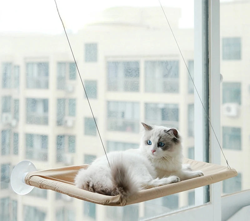 Hanging Cat Hammock