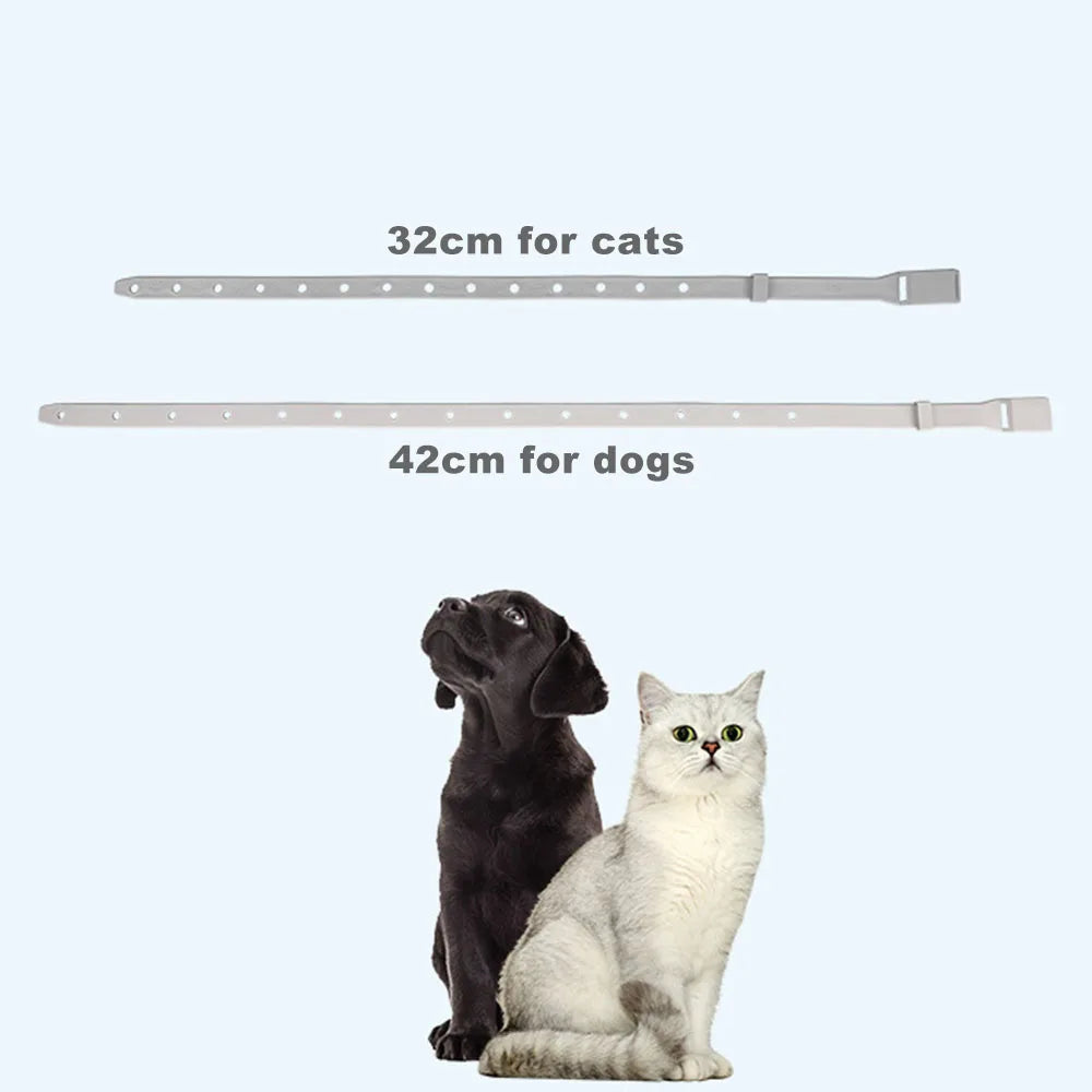 Anti Flea/Tick Collar