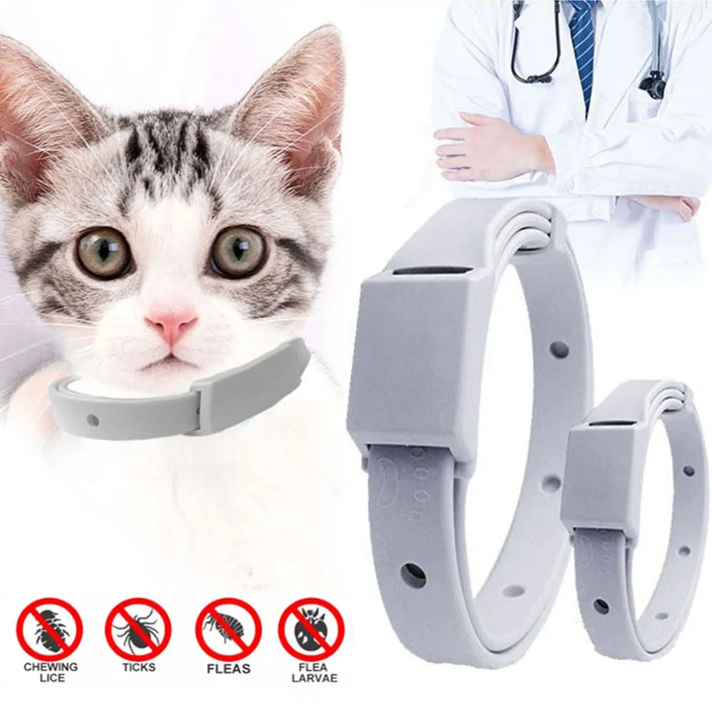 Anti Flea/Tick Collar